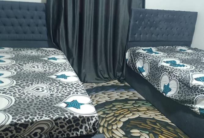 8233226 - Property Image 3