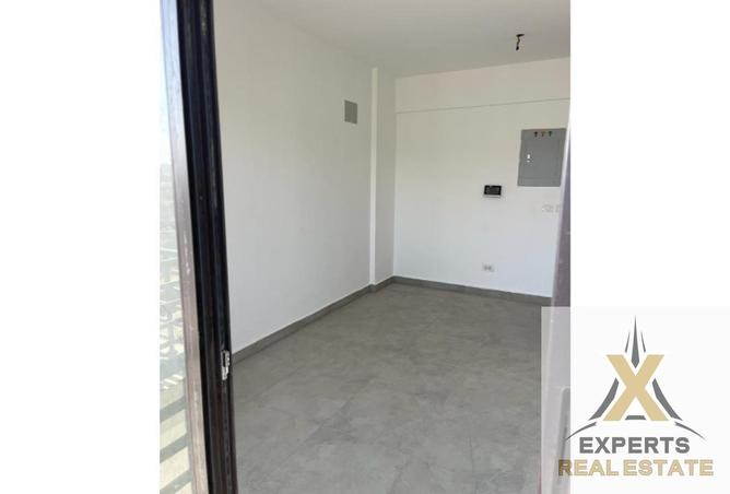 8259478 - Property Image 3