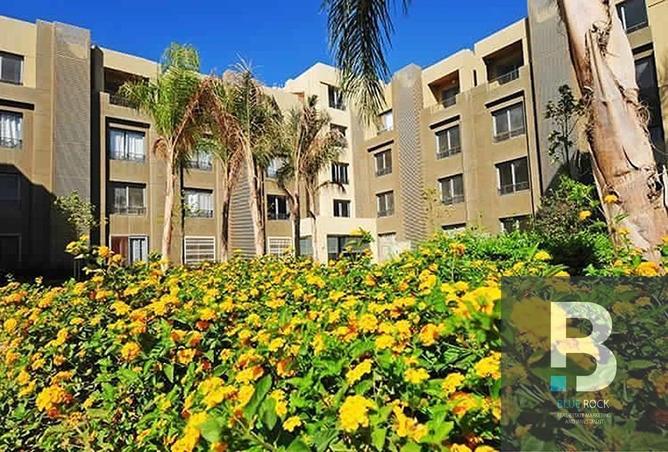 7981191 - صورة العقار 2