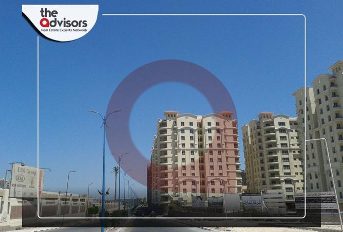 8431719 - Property Image 3