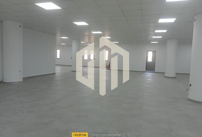 8121991 - Property Image 3