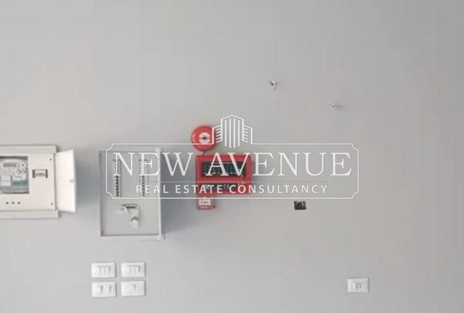 8431344 - صورة العقار 3