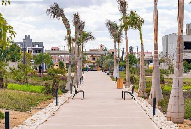 8338077 - Property Image 3