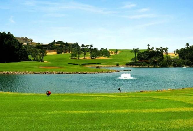 8118099 - Property Image 2