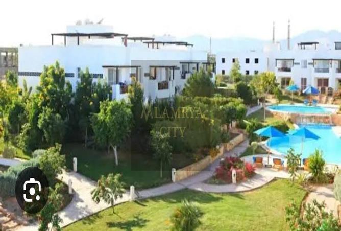 7984741 - صورة العقار 3