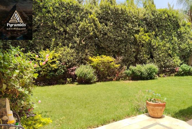 8033036 - Property Image 2