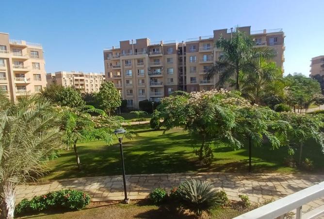 8198263 - صورة العقار 3