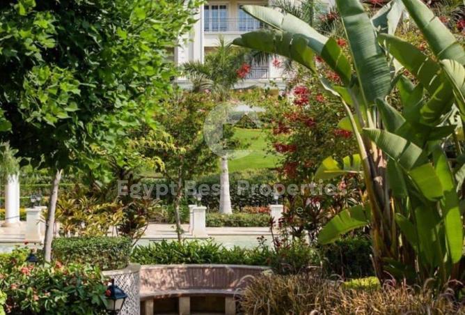 8494215 - Property Image 3