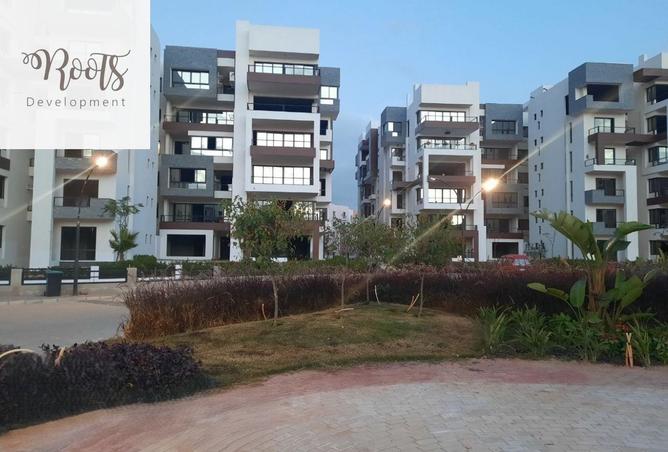 8244613 - Property Image 3