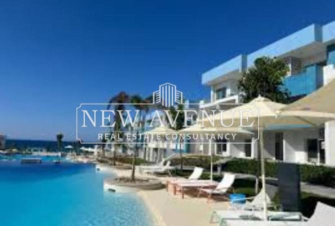 8168241 - Property Image 3