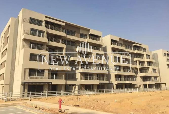 8398929 - Property Image 3