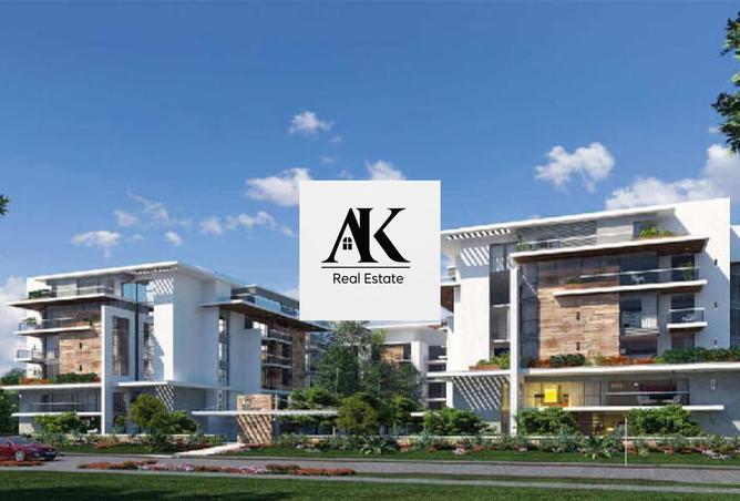 8294089 - Property Image 3