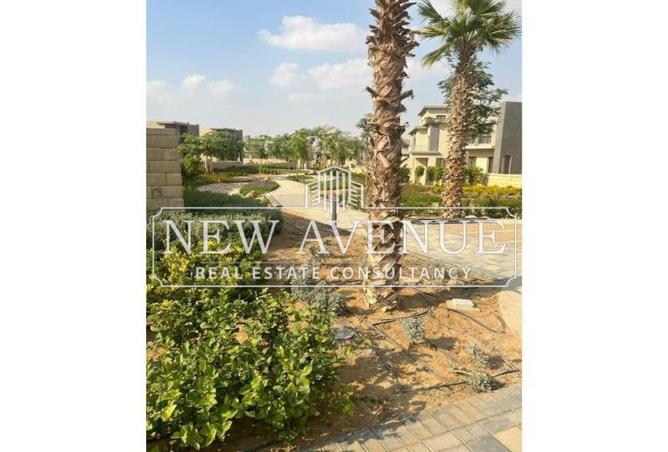 8386010 - Property Image 3