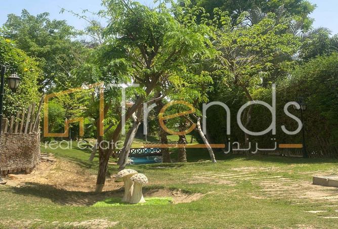 8387352 - صورة العقار 3