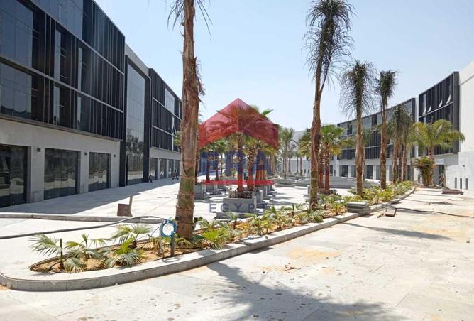 7991260 - صورة العقار 2