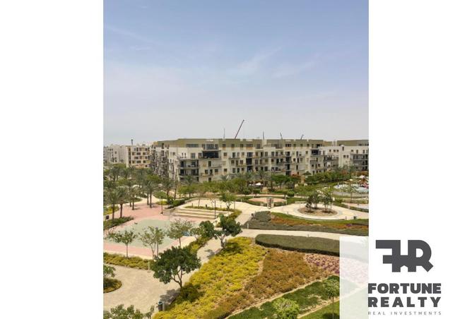 8341399 - Property Image 3