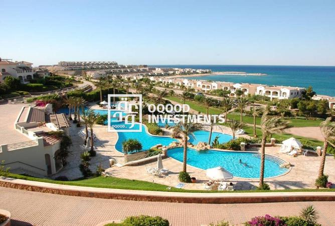 8203805 - Property Image 3