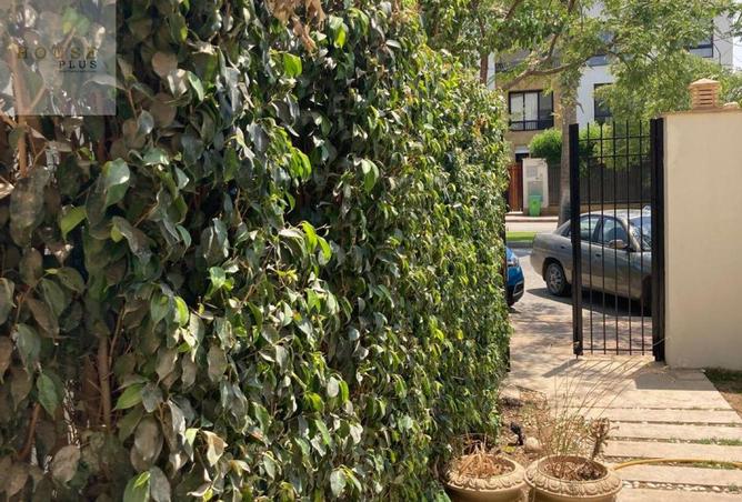 8377986 - صورة العقار 3