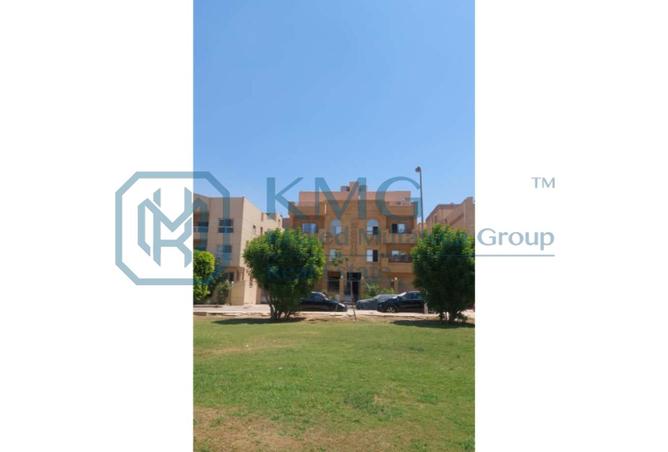 7948257 - صورة العقار 3