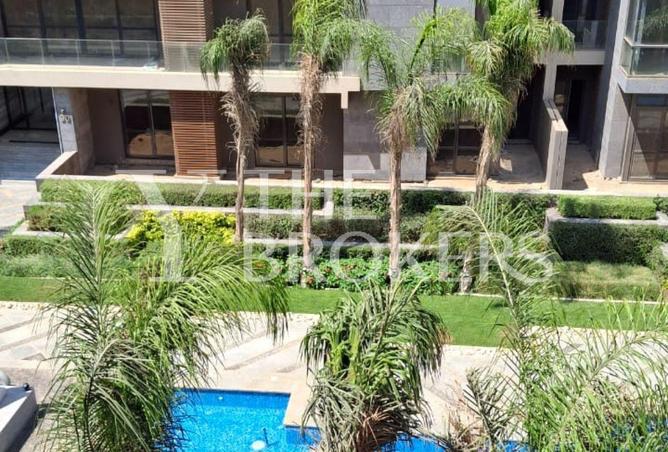 8021655 - Property Image 3