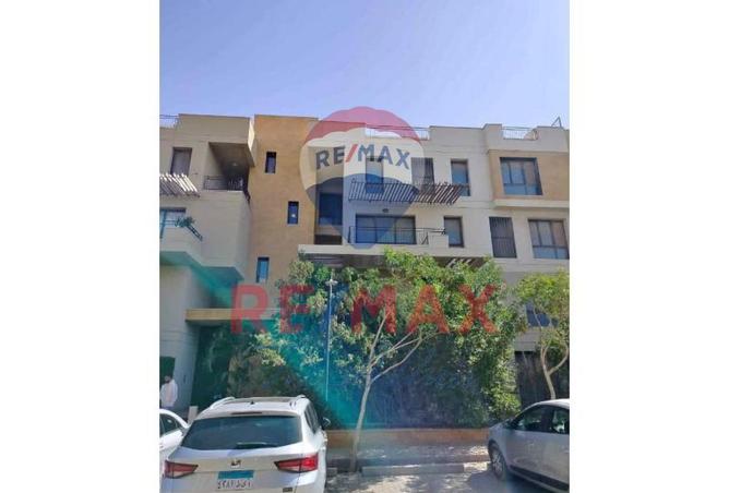 8292409 - Property Image 3