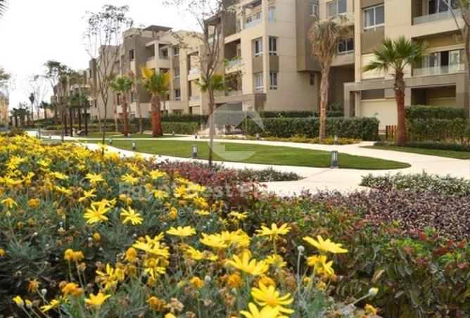 8235301 - الصورة الرئيسية للعقار