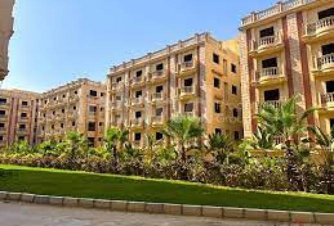 8157685 - Property Image 3