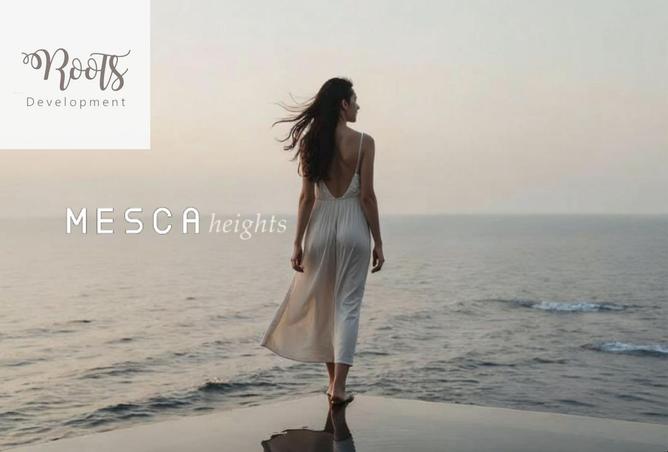 8195461 - Property Image 2