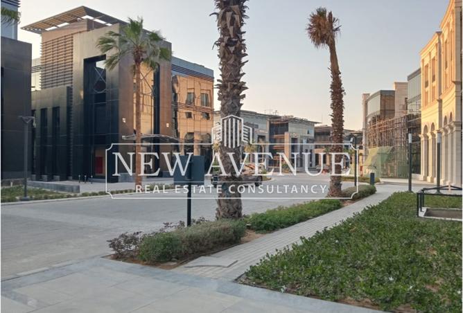 8213838 - Property Image 3