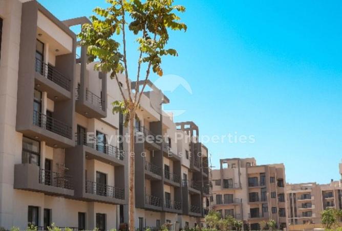 7899296 - Property Image 3