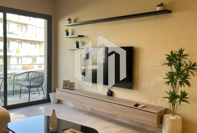 8088161 - Property Image 2
