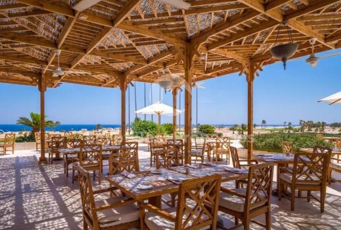 8488821 - Property Image 3