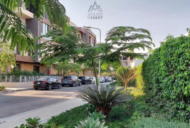 8250660 - صورة العقار 3