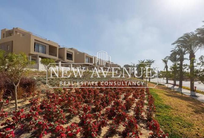 8419784 - صورة العقار 3