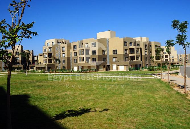 7958367 - صورة العقار 2