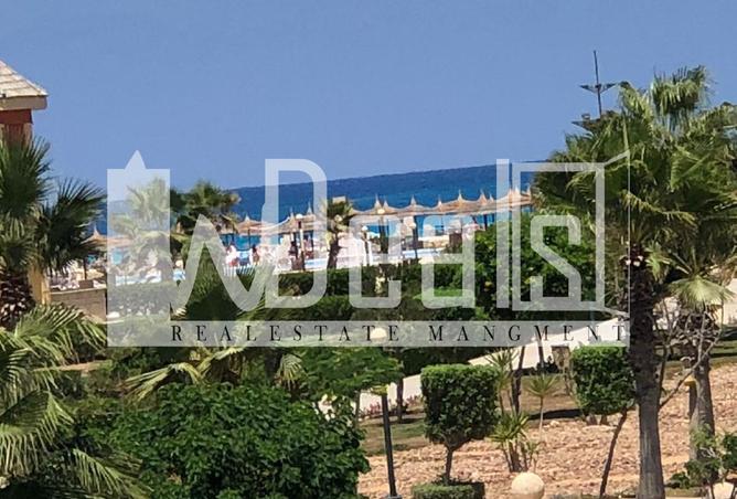 7955474 - الصورة الرئيسية للعقار
