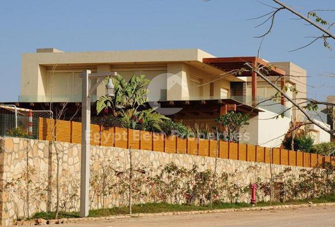 7925884 - Property Image 3