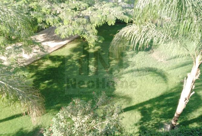 8029133 - الصورة الرئيسية للعقار