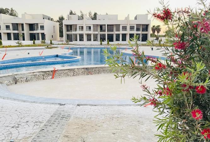 8541355 - صورة العقار 3