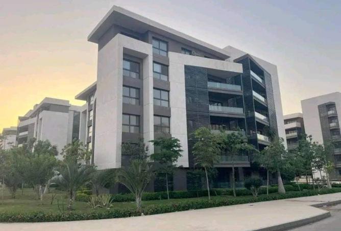 8228501 - صورة العقار 3