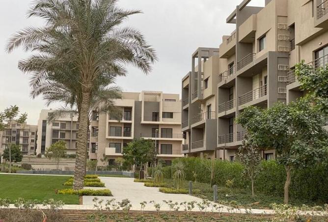 8081675 - صورة العقار 3
