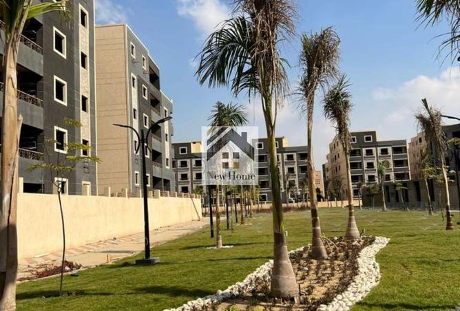 8259194 - صورة العقار 3