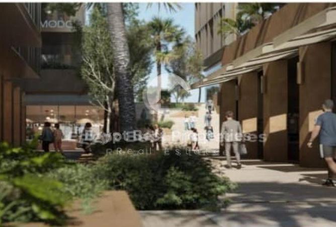 8533970 - Property Image 2