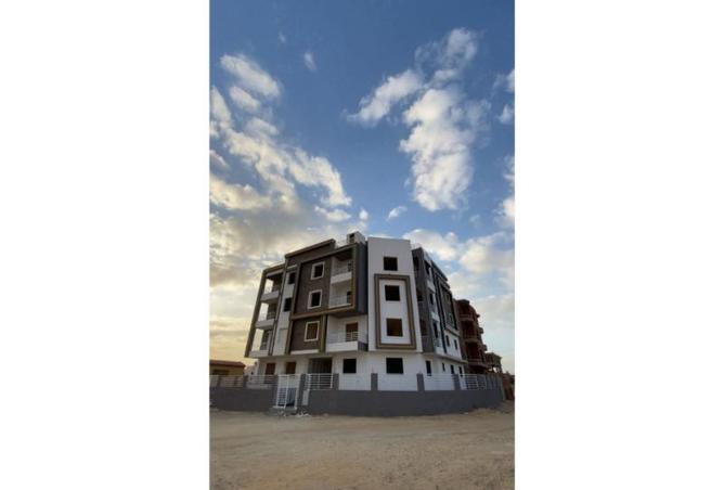 8381574 - Property Image 2