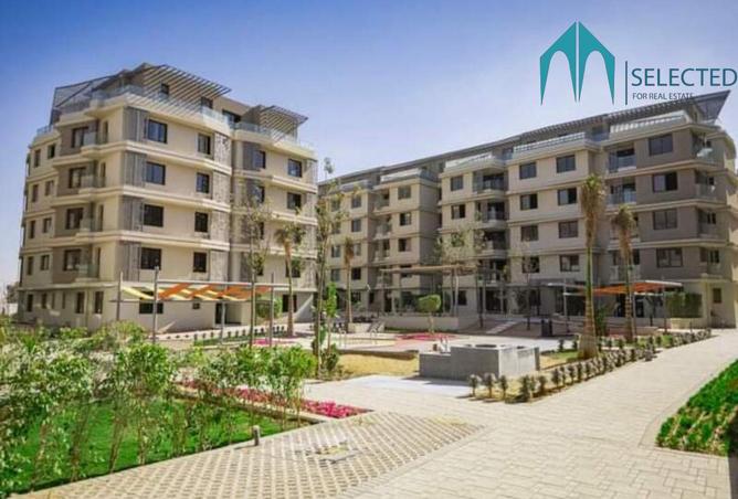 8013392 - Property Image 3