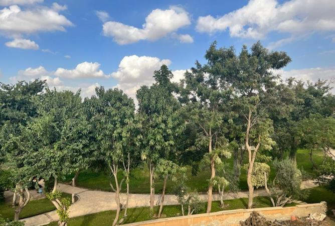 8498631 - صورة العقار 3