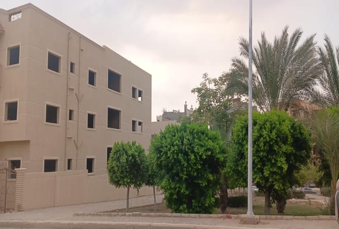 7983302 - صورة العقار 2