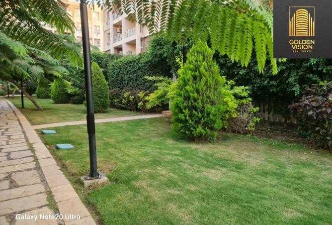 8515928 - Property Image 2