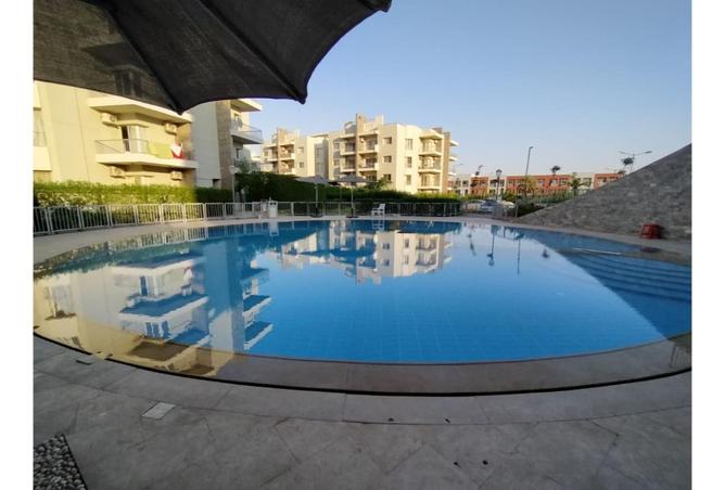 8292156 - Property Image 2