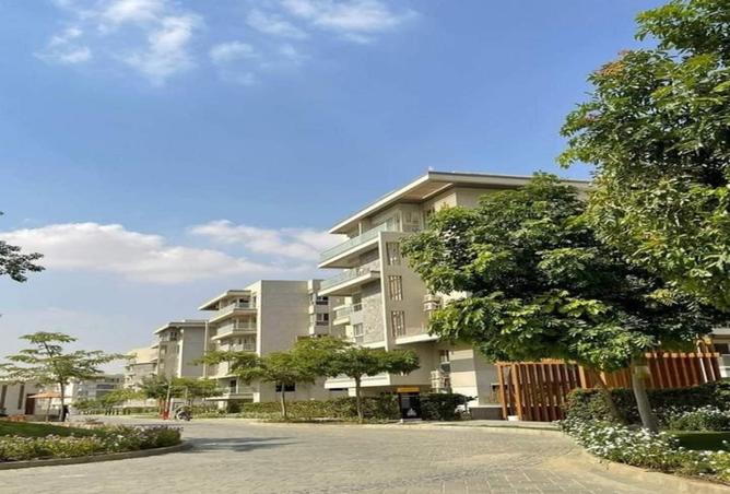 8439267 - Property Image 2